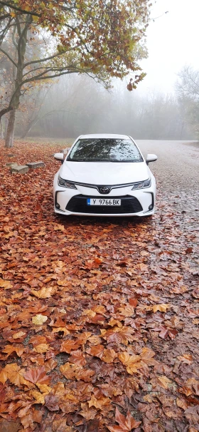 Toyota Corolla 1.6 LPG - изображение 1