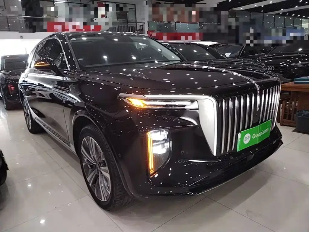HongQi E-HS9 2021 460km Flagship Comfort 6-seater