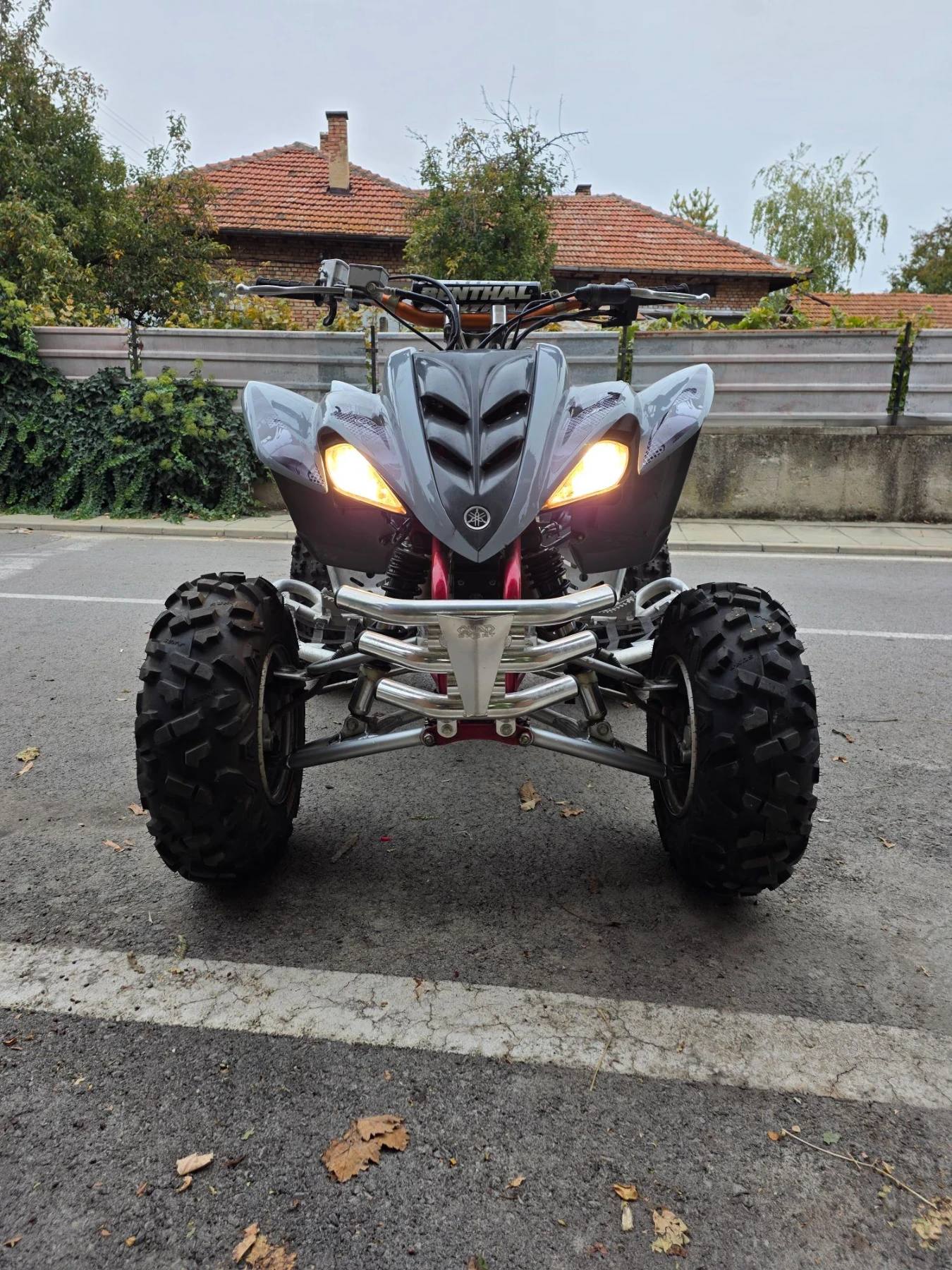 Yamaha Raptor