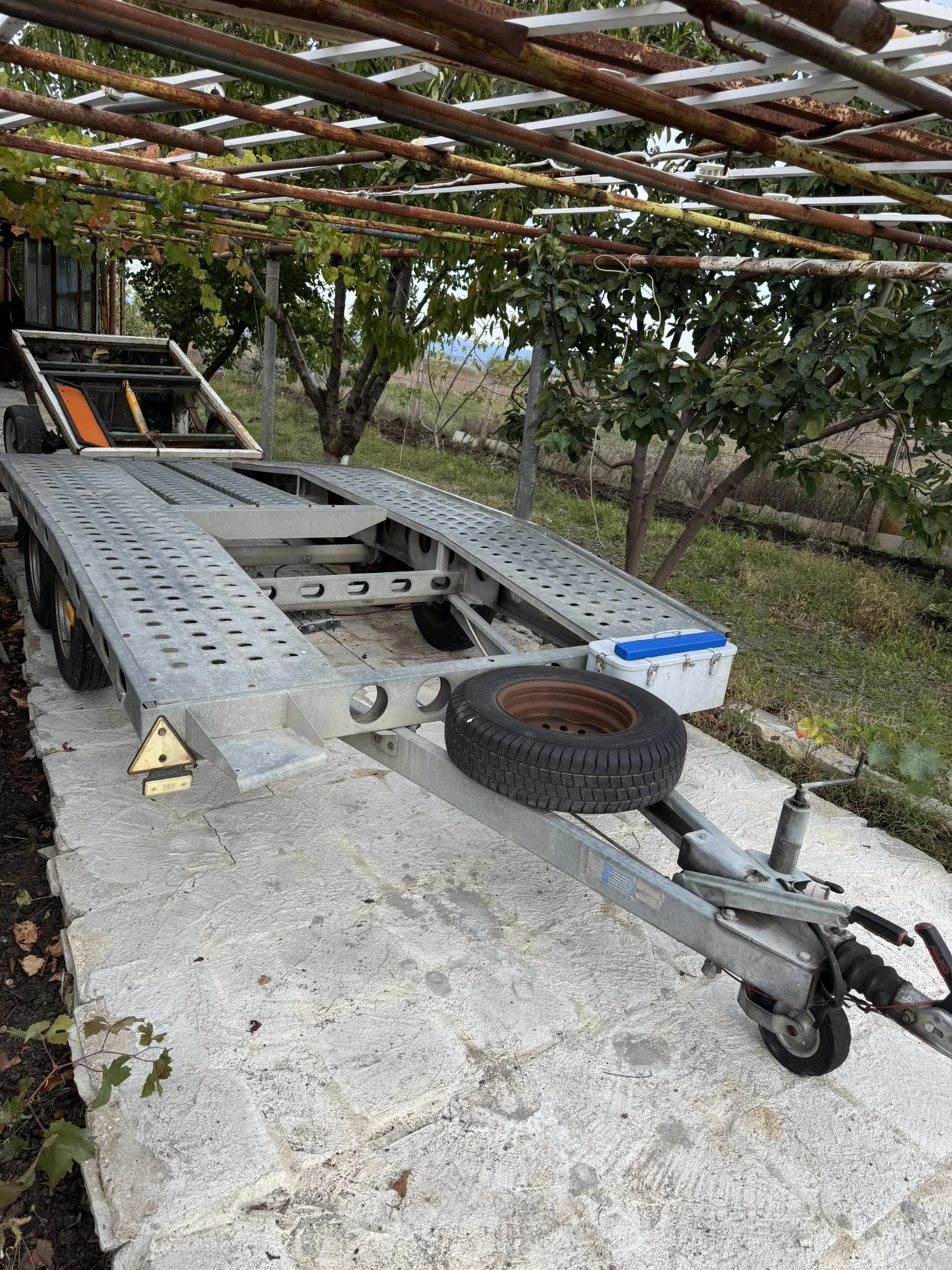   Wiola | Mobile.bg   3