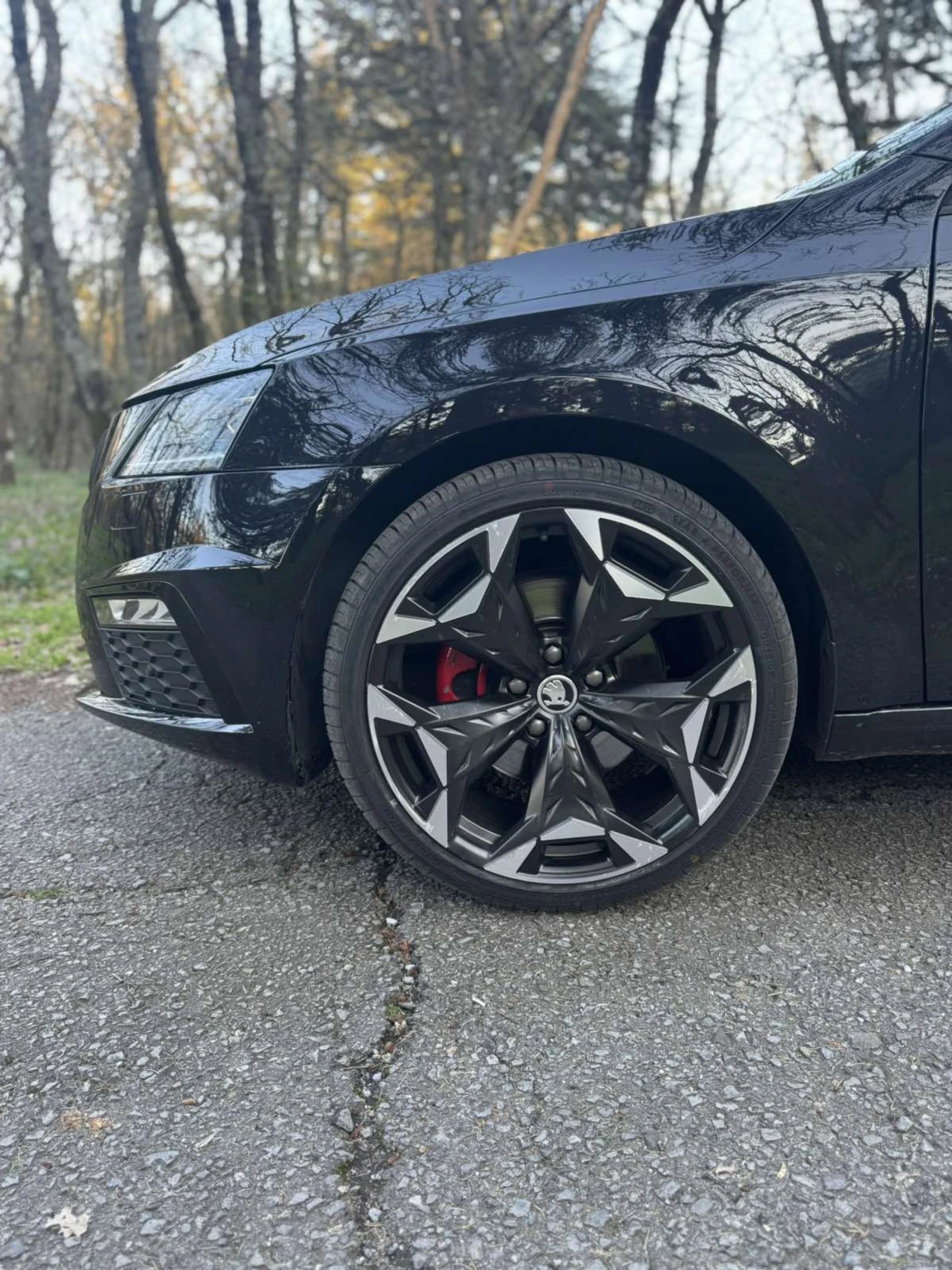 Skoda Octavia VRS, снимка 15 - Автомобили и джипове - 54103800