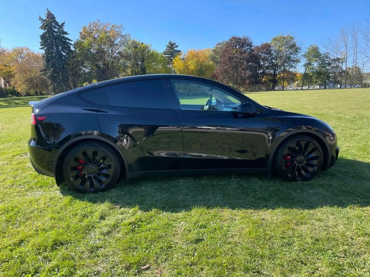 Tesla Model Y, снимка 3 - Автомобили и джипове - 56689222