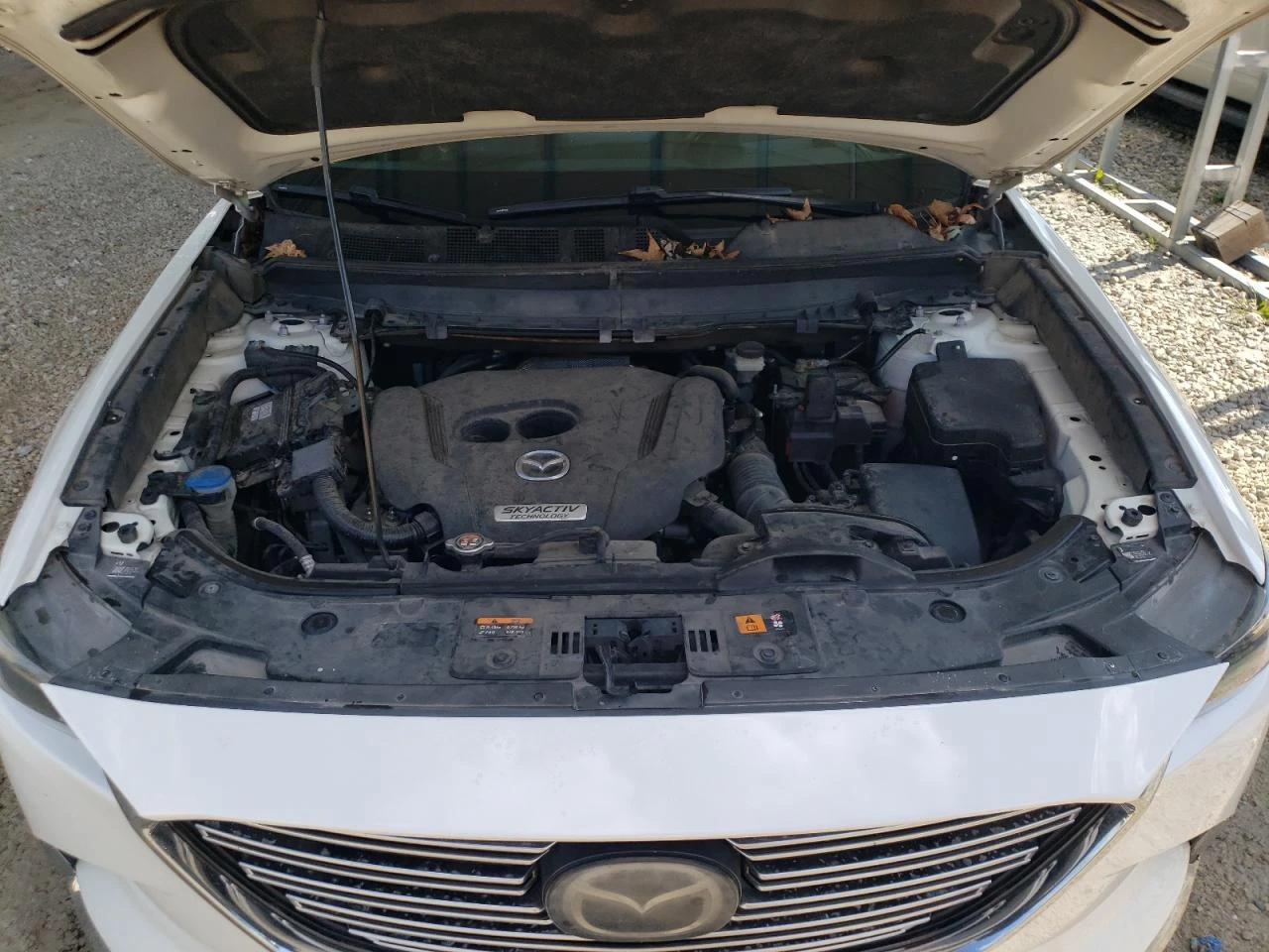 Mazda CX-9 4X4/SIGNATURE/6+ 1/   | Mobile.bg   12