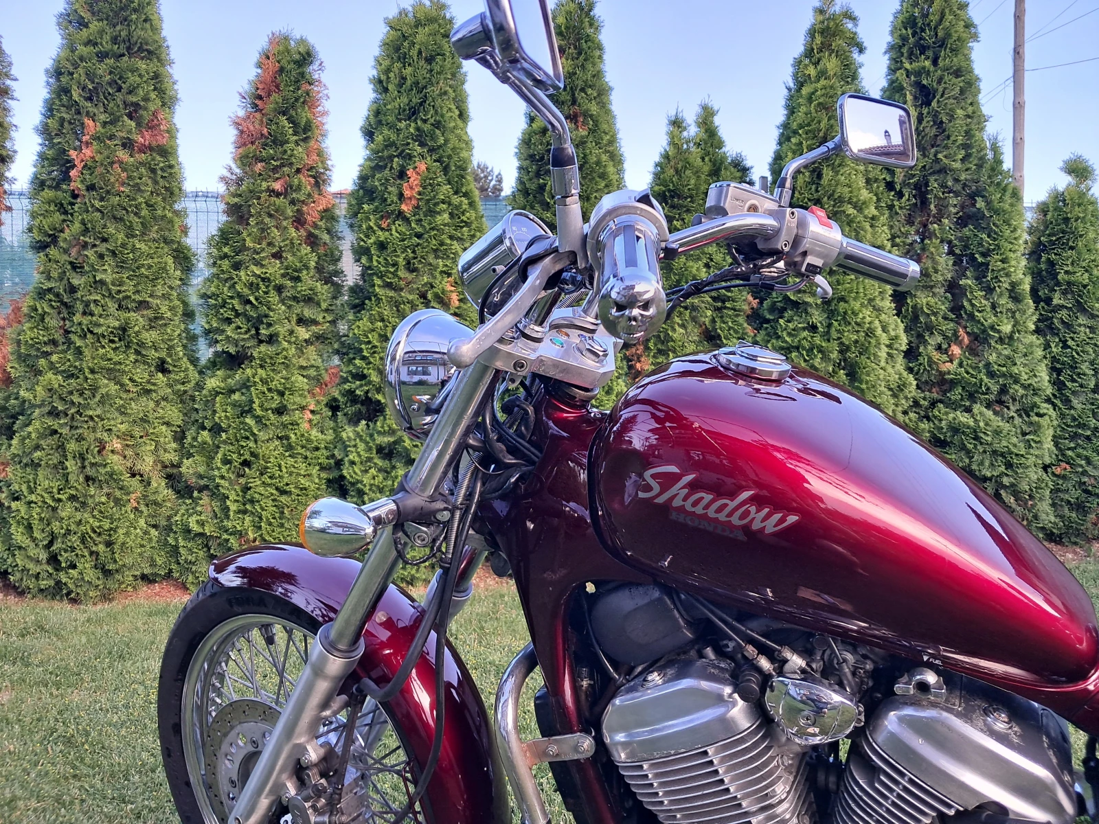 Honda Shadow Shadow 600 - изображение 4