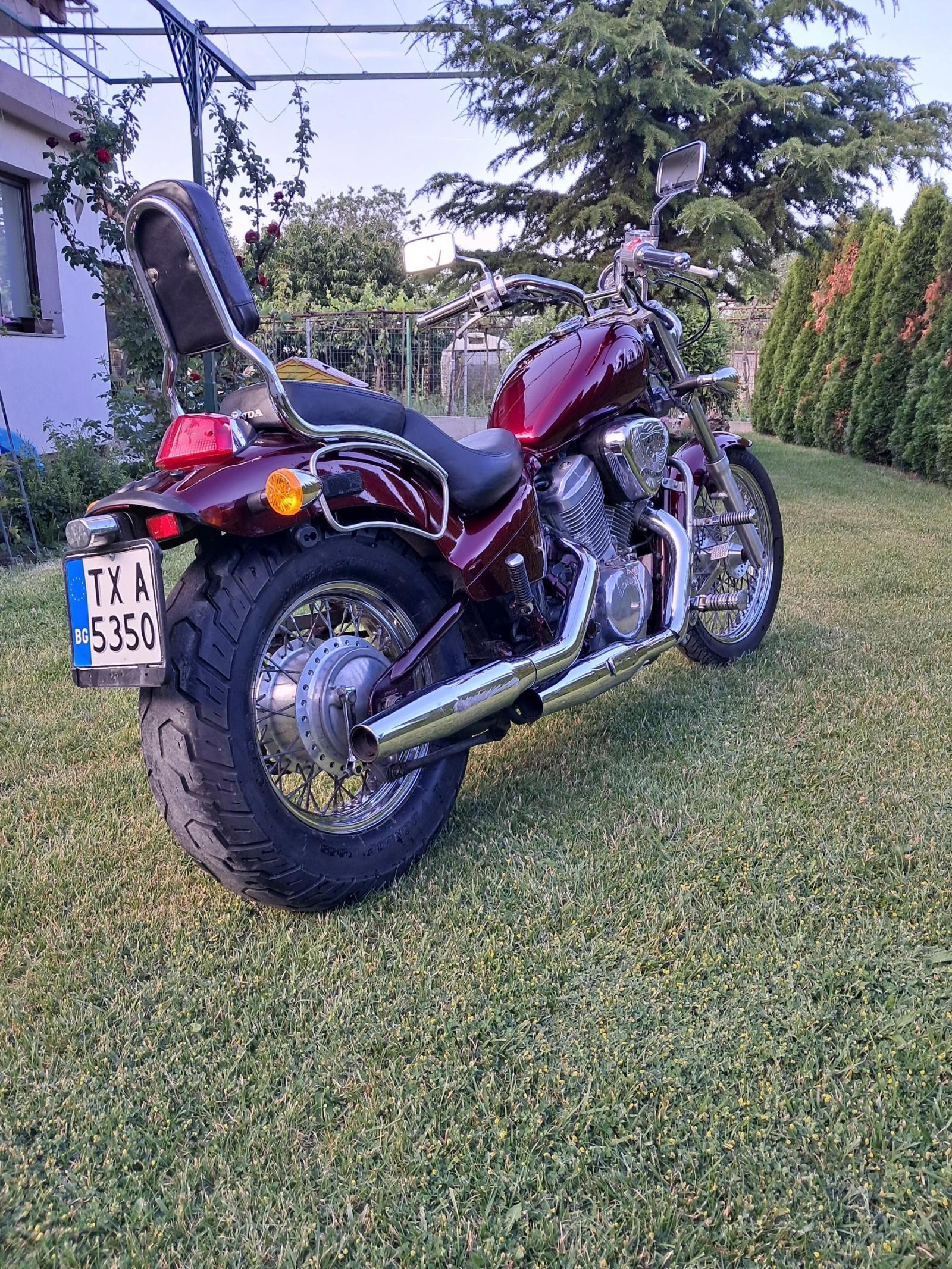 Honda Shadow Shadow 600 - изображение 8
