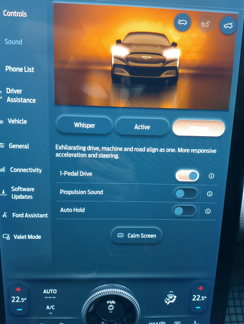 Ford Mustang Mach-E 76KW* RWD* 96.3%SOH* Bang & Olufsen* FordConnect, снимка 11 - Автомобили и джипове - 53449043