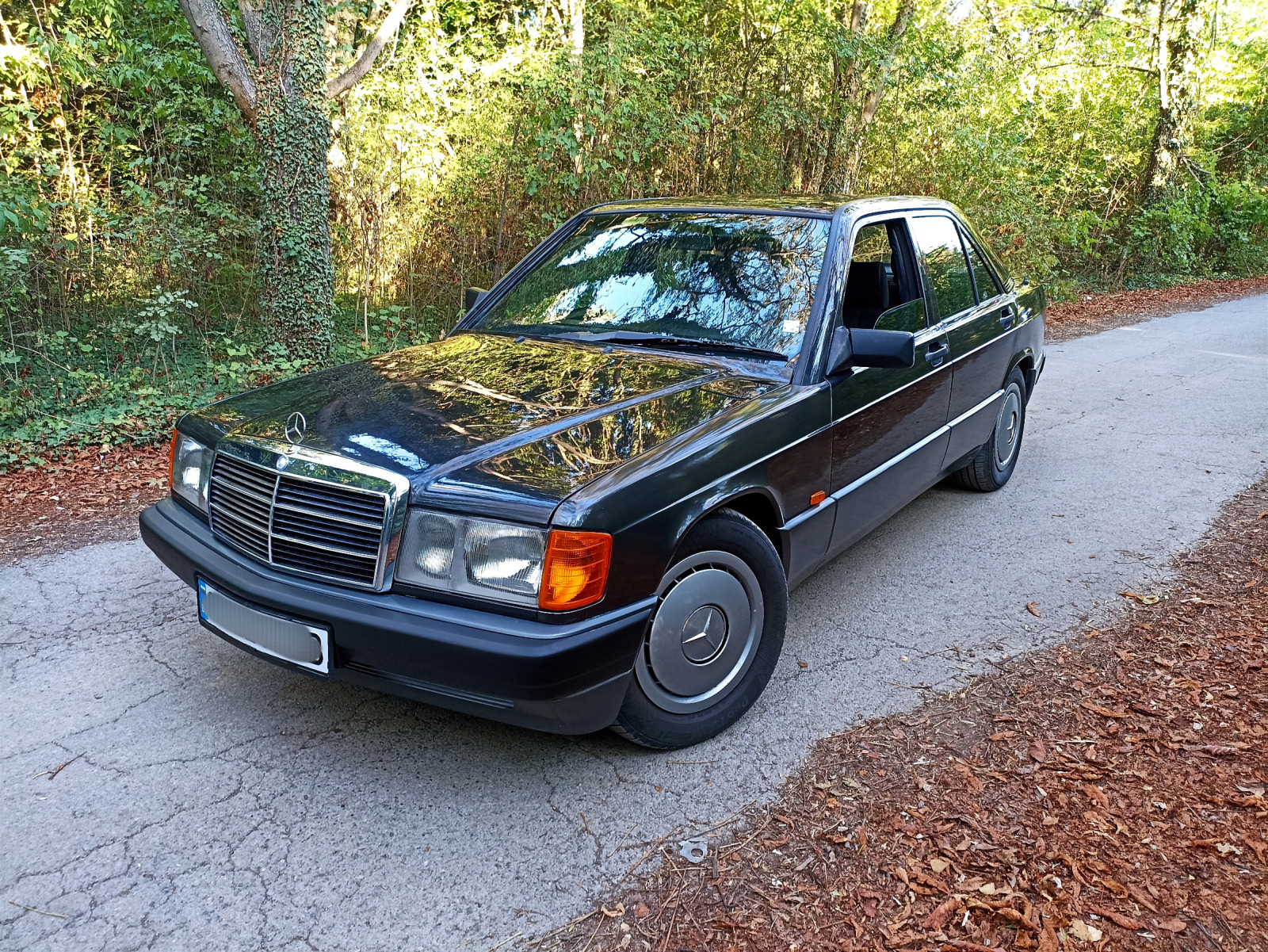 Mercedes-Benz 190 W201 бензин 1.8  - изображение 1