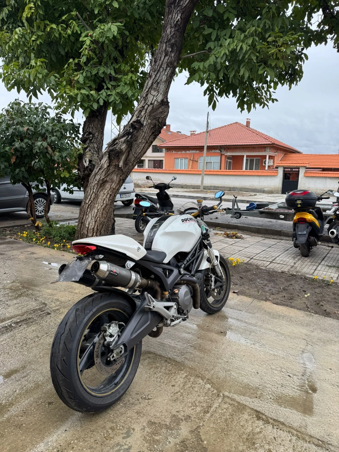 Ducati Monster Monster 696 ЛИЗИНГ - изображение 5
