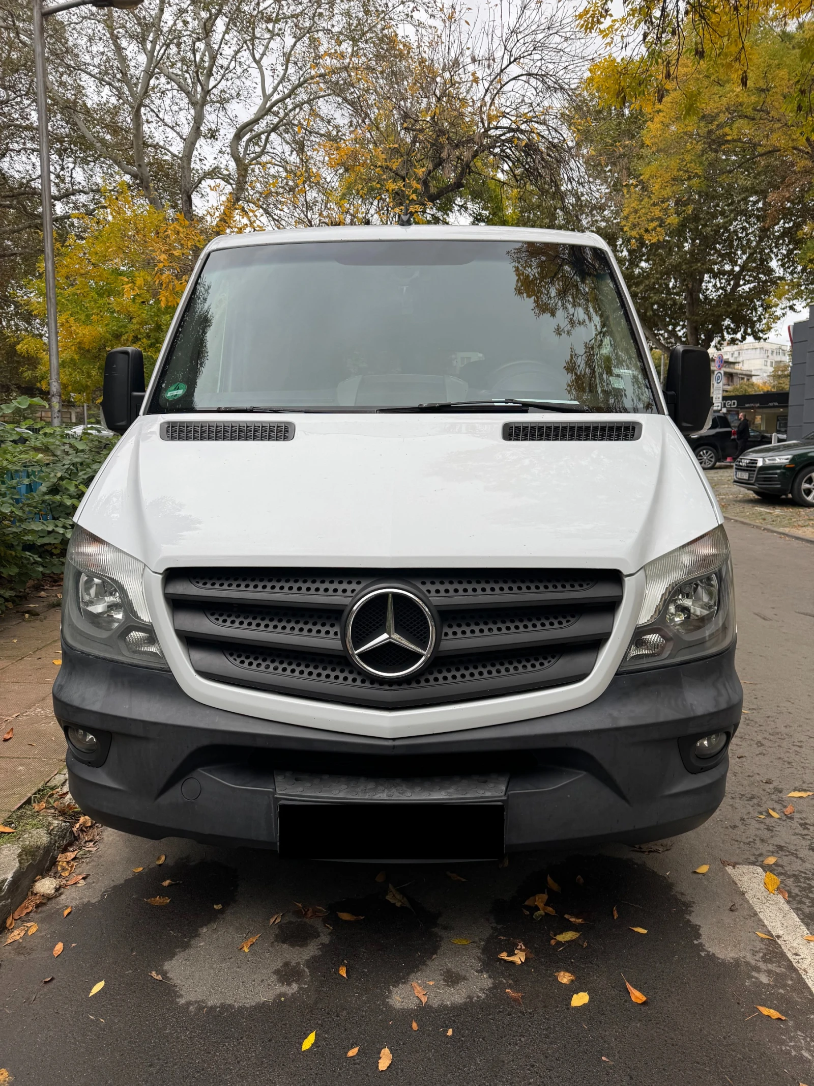 Mercedes-Benz Sprinter 316 CDI - изображение 5