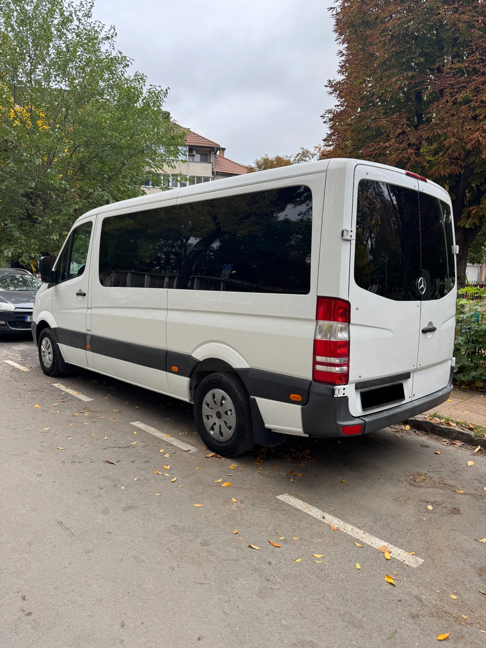 Mercedes-Benz Sprinter 316 CDI - изображение 3