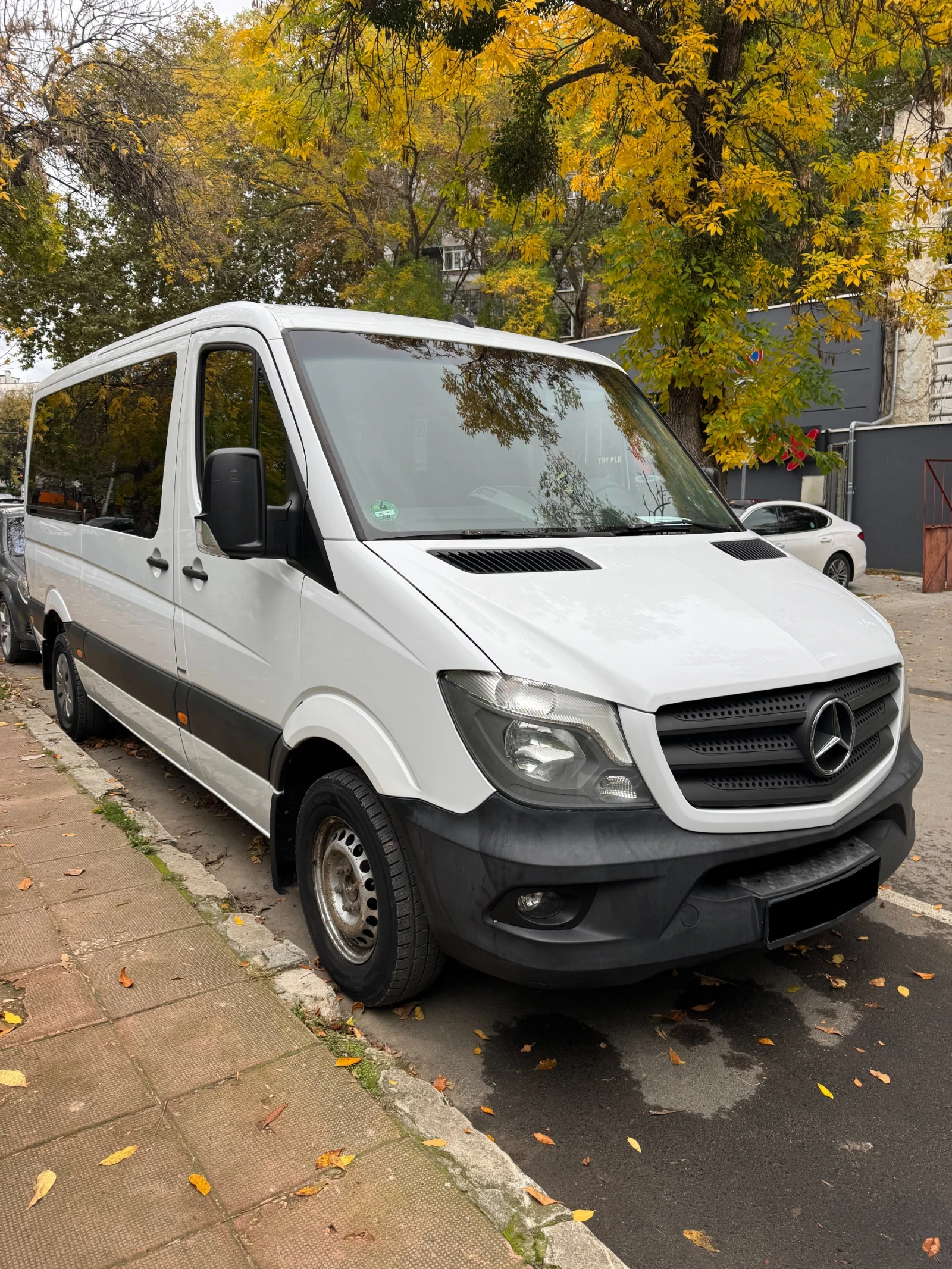 Mercedes-Benz Sprinter 316 CDI - изображение 2
