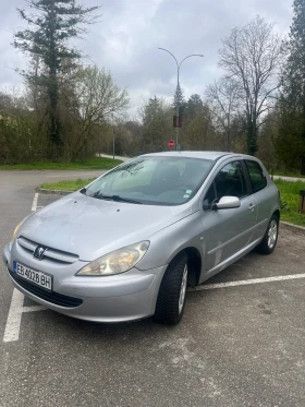 Peugeot 307 2.0hdi, снимка 1