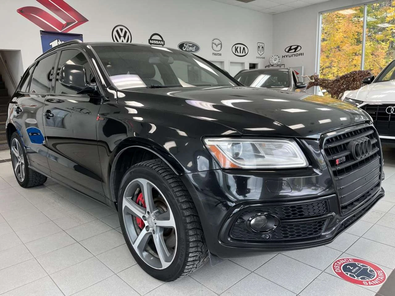 Audi SQ5 PREMIUM / AWD + AUTO + TOIT + CAMERA + BLUETOOTH +, снимка 3 - Автомобили и джипове - 56438260