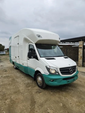 Mercedes-Benz Sprinter 516, снимка 2