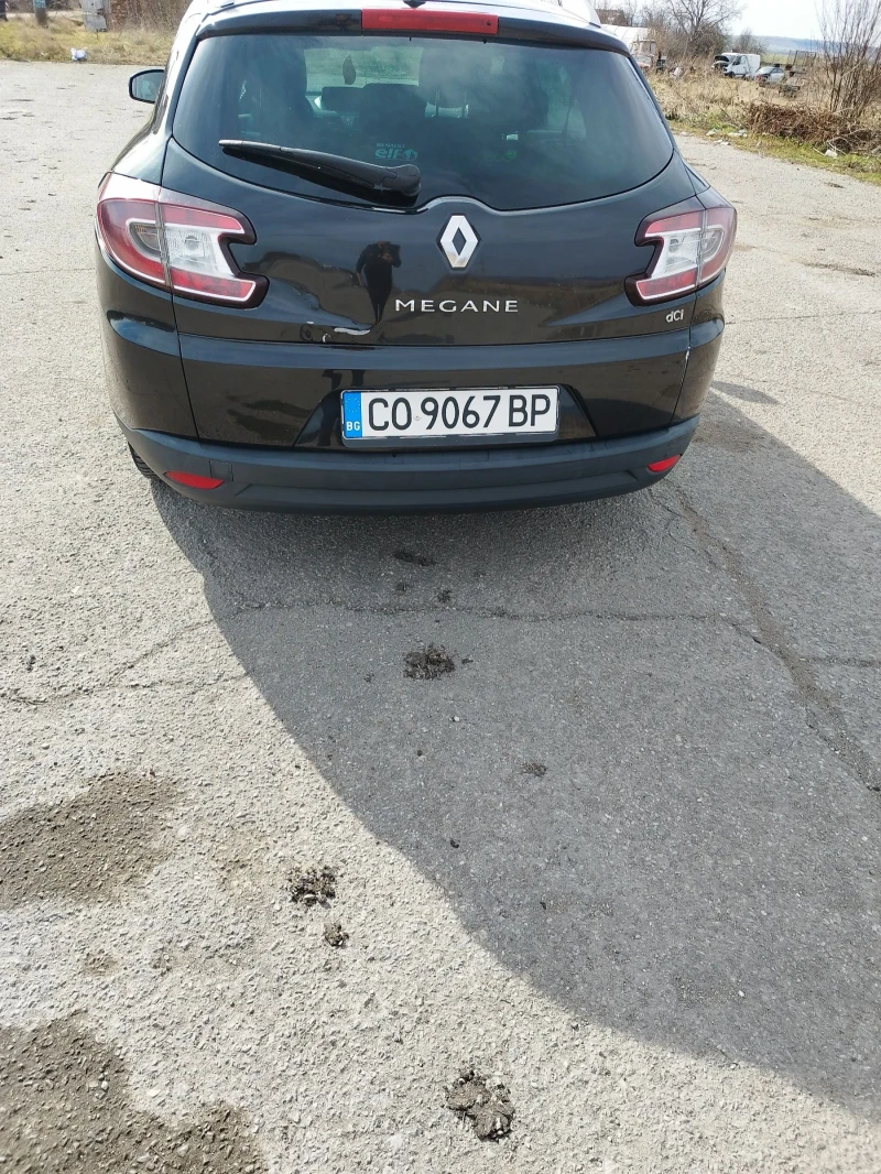 Renault Megane 1, 9 dci, снимка 4 - Автомобили и джипове - 49482886