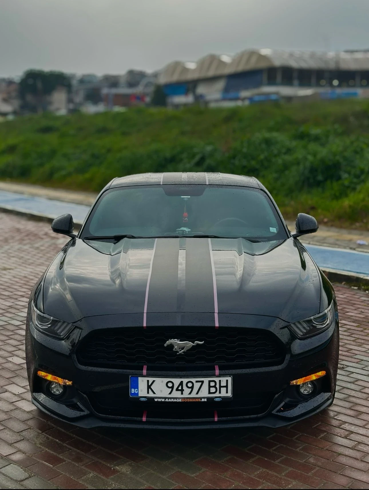 Ford Mustang Европейска без удар!! Всички екстри  - изображение 3
