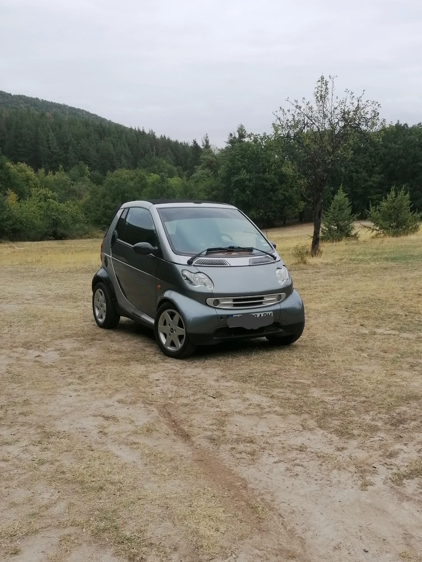 Smart Fortwo 0.6 - изображение 2