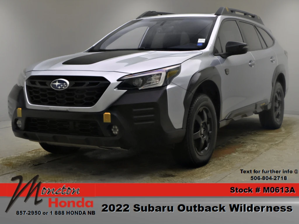 Subaru Outback Wilderness/ПРЕДСТАВИТЕЛСТВО/ОТ 360 ЕВРО НА МЕСЕЦ | Auto.bg — изображение 1