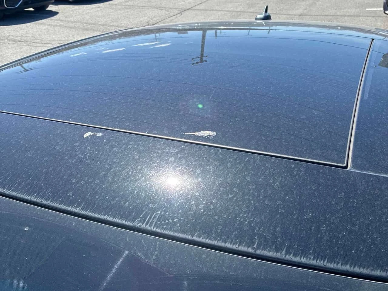 Audi S3 2.0T Progressiv/CARFAX/Carbon hood/�������/������� | Mobile.bg � ����������� 13