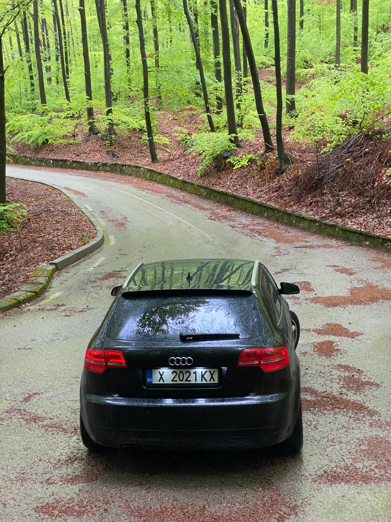 Audi A3, снимка 2 - Автомобили и джипове - 54345257