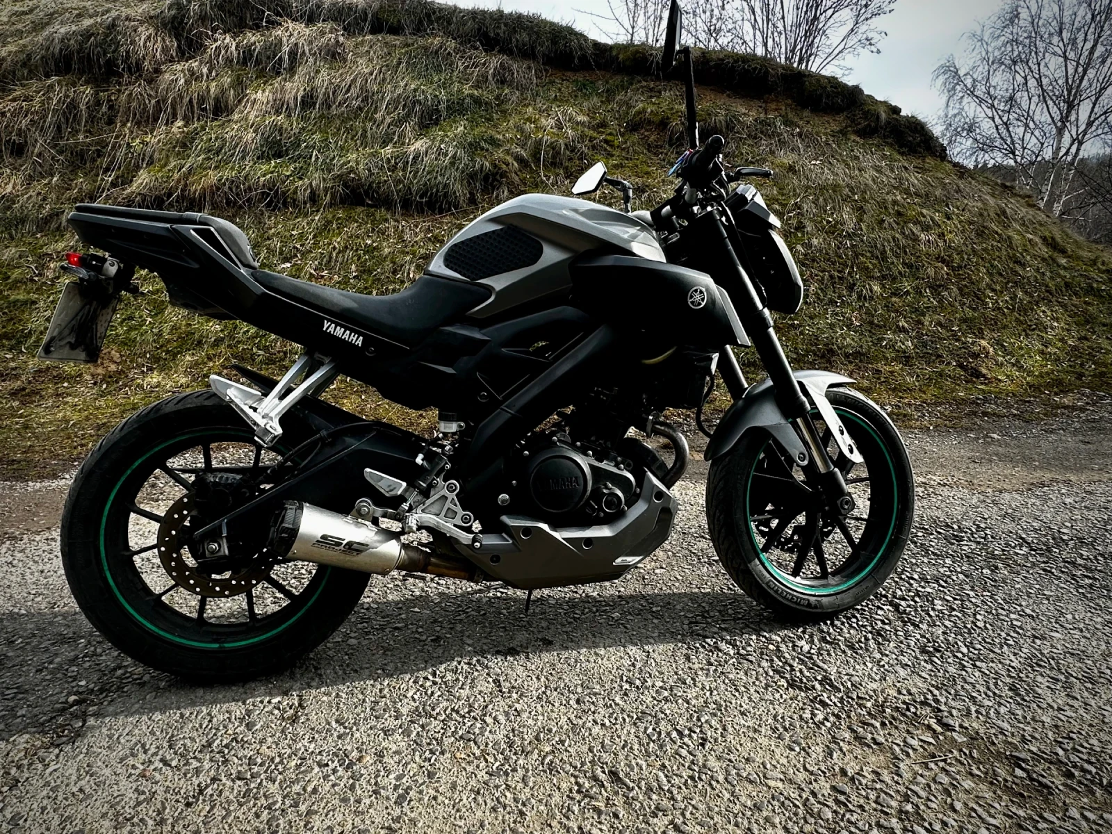 Yamaha Mt-01  - изображение 8