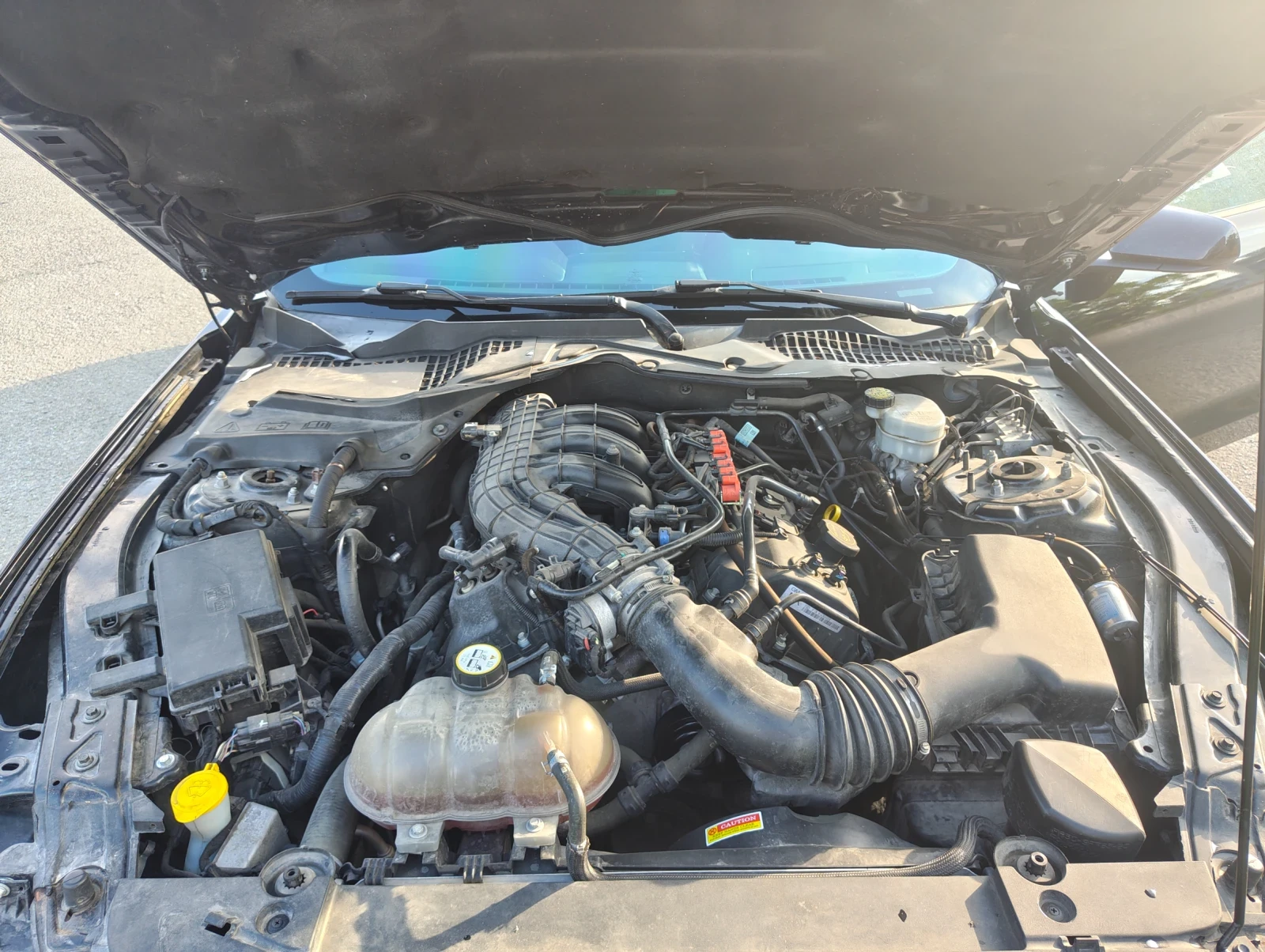 Ford Mustang 3.7 /  . | Mobile.bg   13