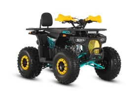 Barton ATV Raptor 125 куб.см 3+ 1 - изображение 1