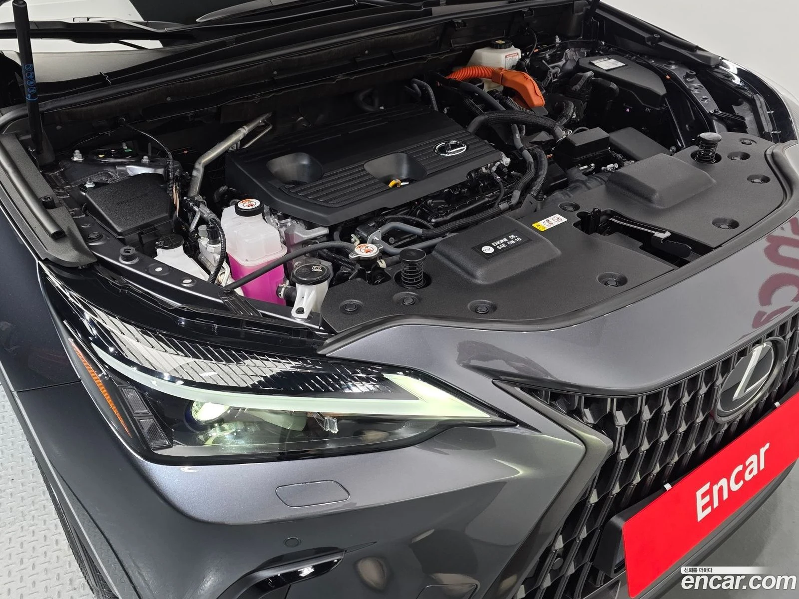 Lexus NX 350h Premium* ������ ���� �� BG | Mobile.bg � ����������� 6