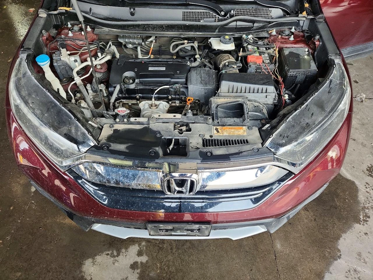 Honda Cr-v 2.4l Lx | Mobile.bg � ����������� 11