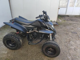 Shineray XY 250, снимка 5