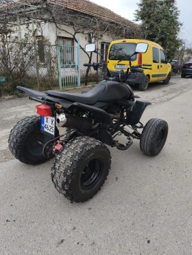 Shineray XY 250 | Auto.bg — изображение 5