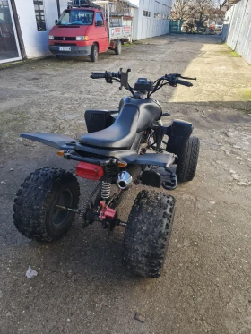 Shineray XY 250, снимка 7