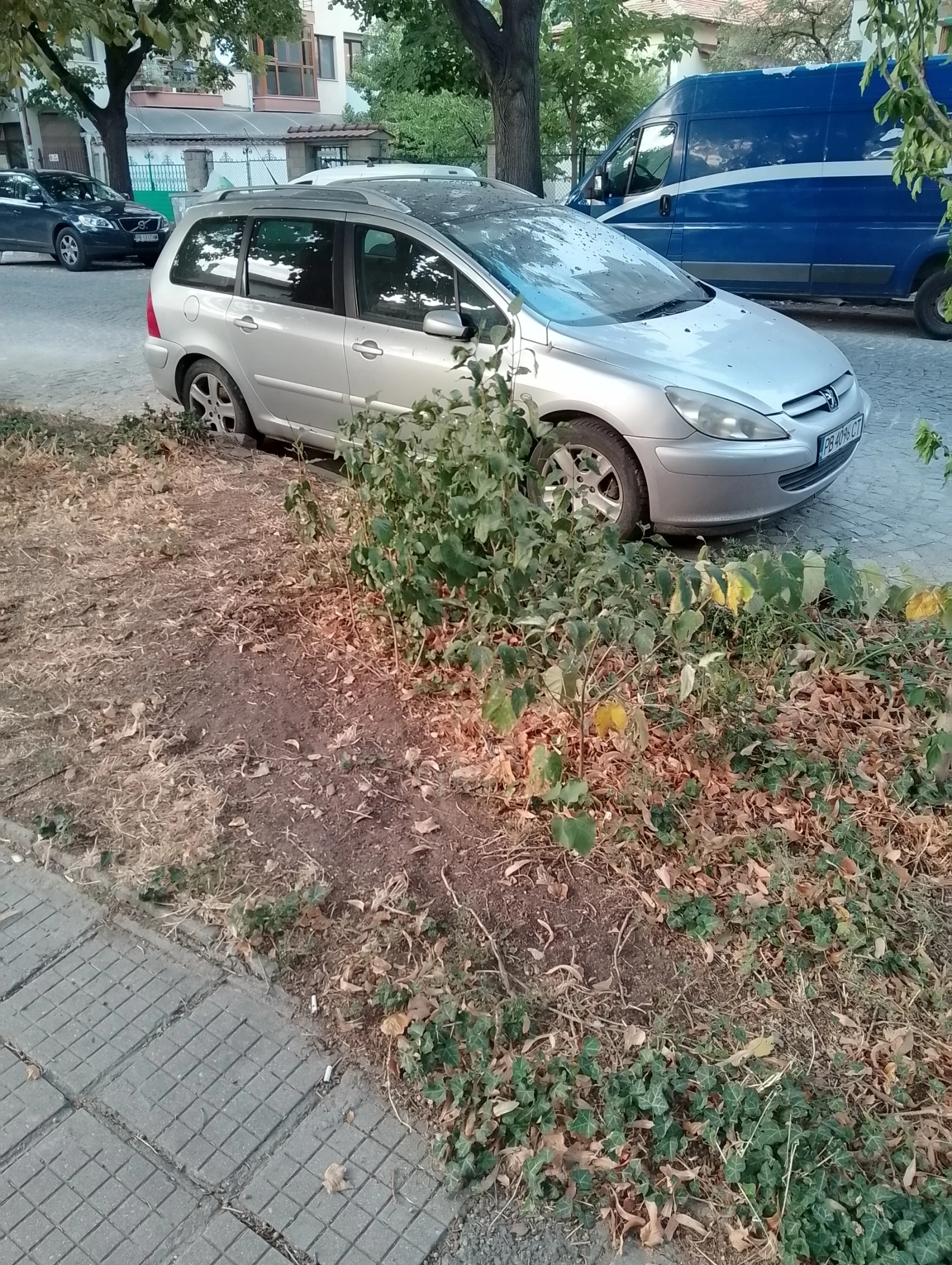 �������� ���� 307 sw ������� � ��� | Mobile.bg � ����������� 1