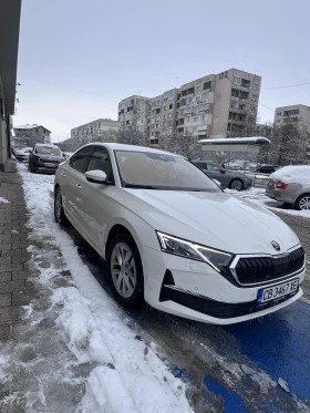     Skoda Octavia Limo
