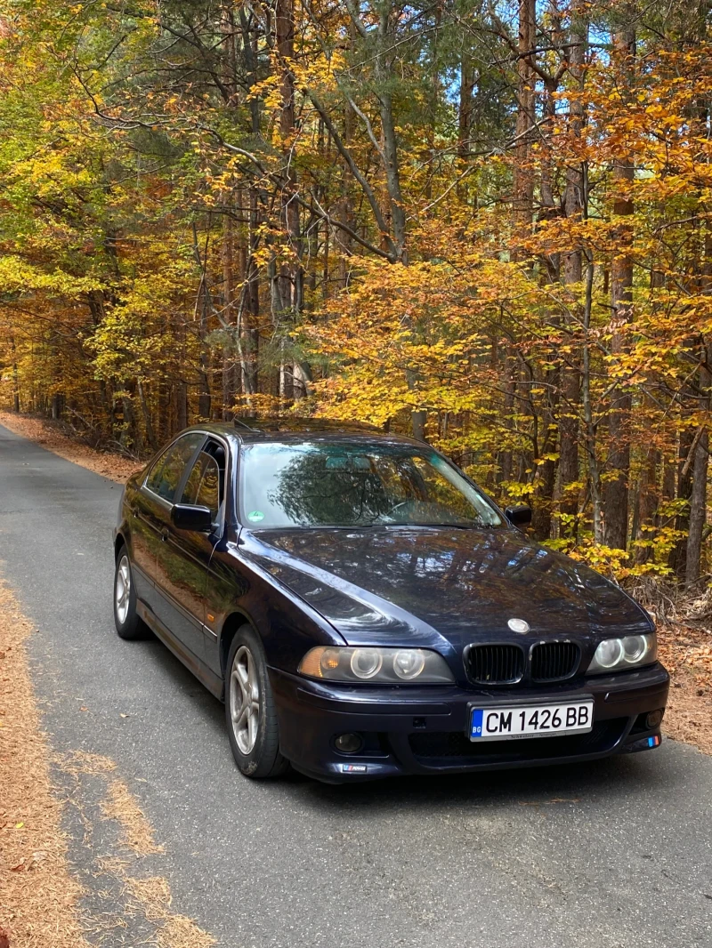 BMW 530 BMW 530d Face