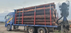 Man Tga, снимка 5