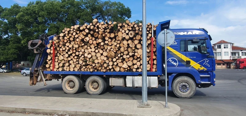 Man Tga, снимка 4 - Камиони - 53358576