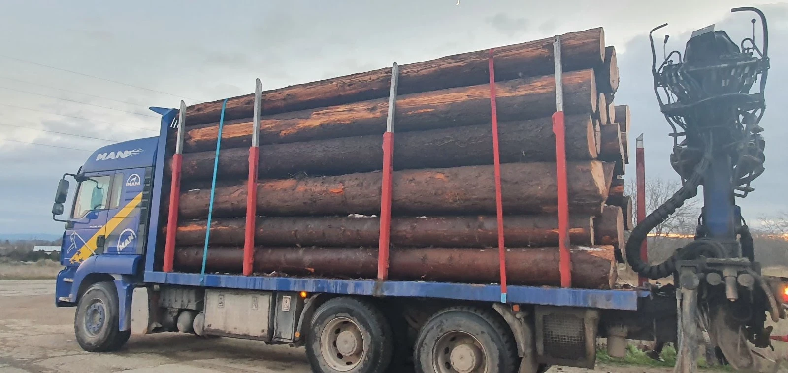 Man Tga  - изображение 5