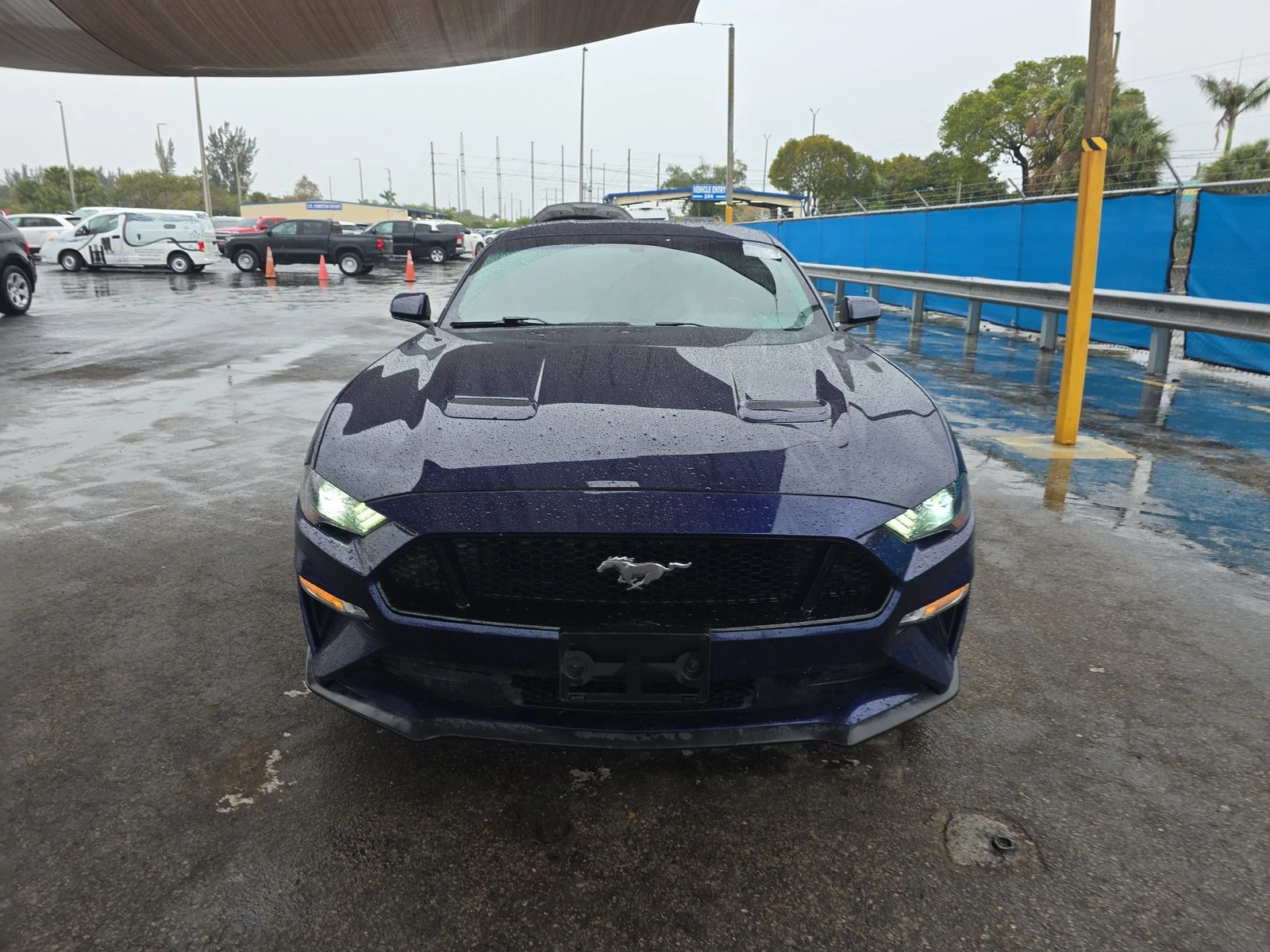 Ford Mustang 5.0* GT* ПОДГРЕВ* КАМЕРА* КЕЙЛЕС*  - изображение 5