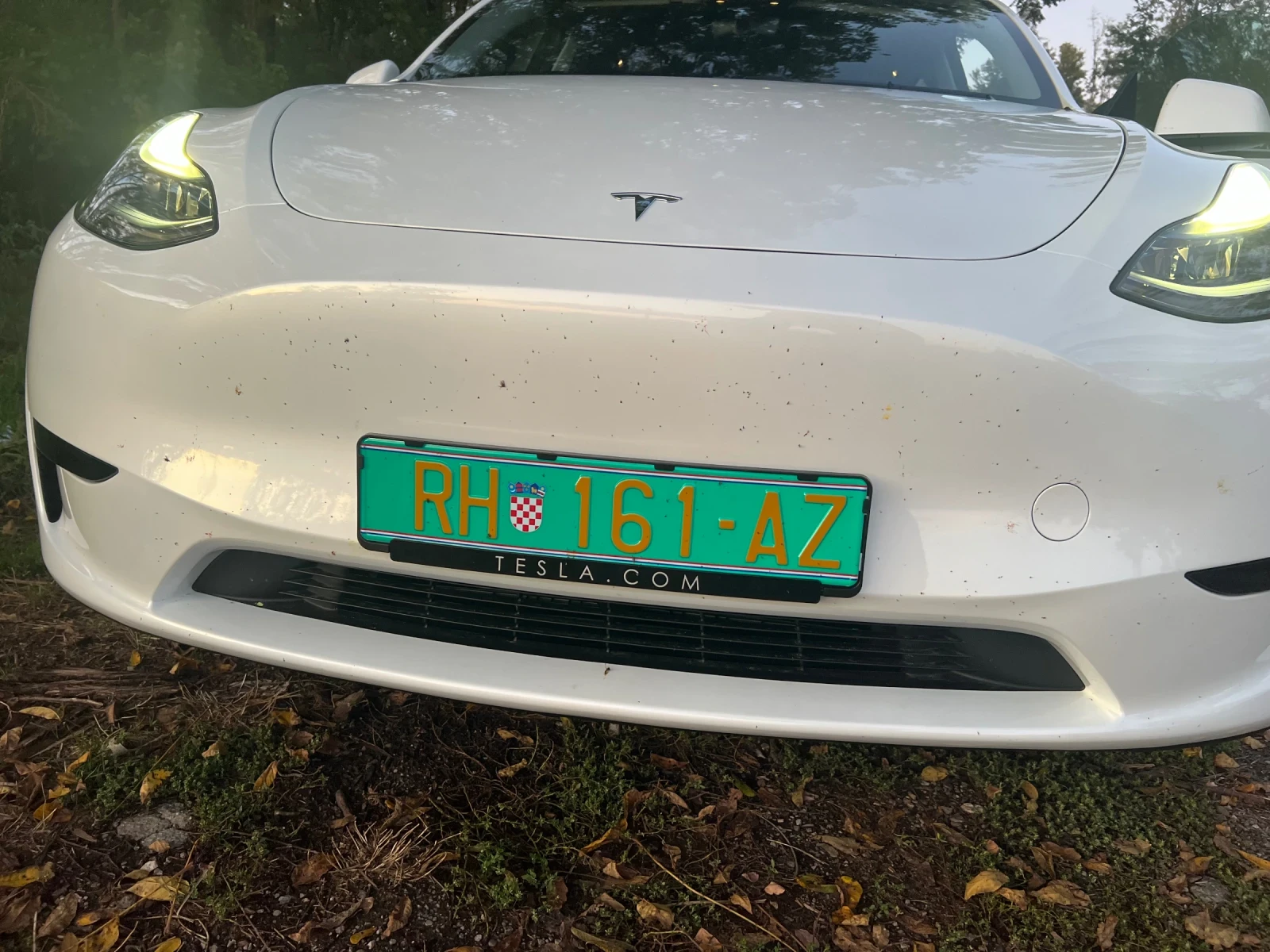Tesla Model Y RWD LR - изображение 6