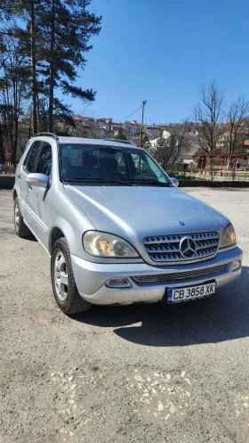 Mercedes-Benz ML 270 163, снимка 1