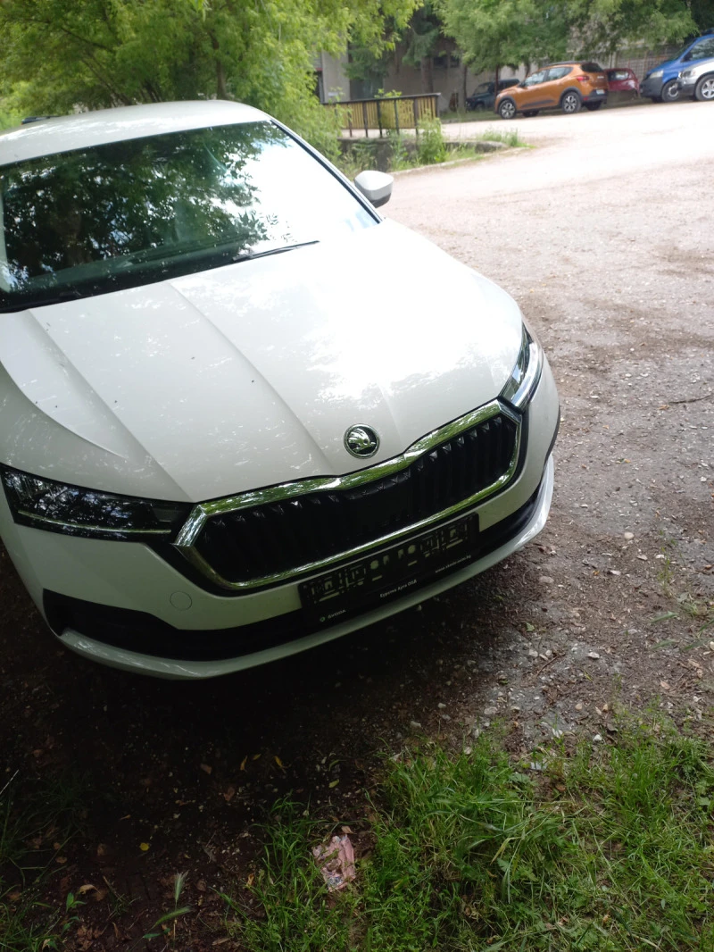 Skoda Octavia TDI , снимка 1 - Автомобили и джипове - 46818495