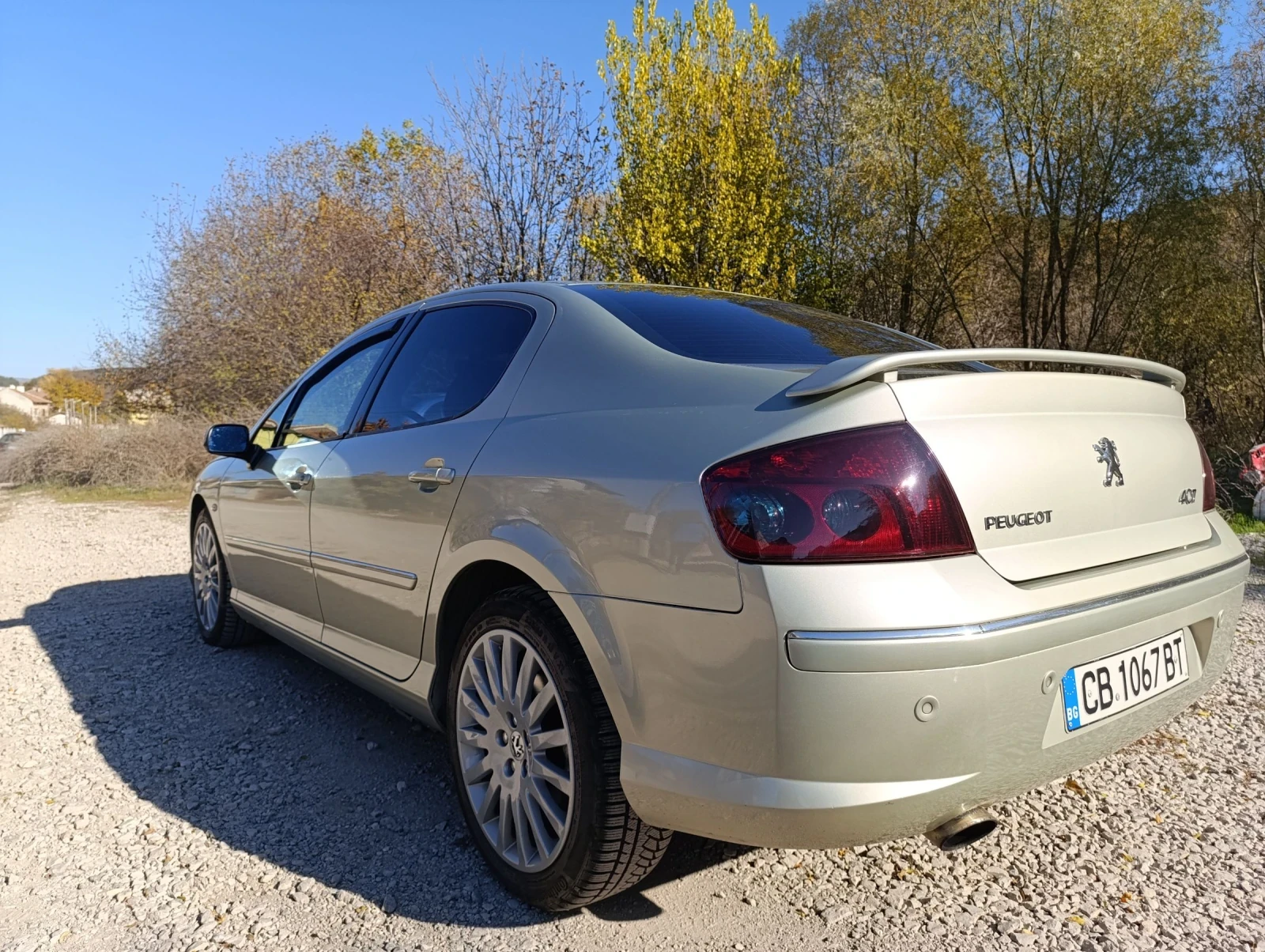 Peugeot 407 2.0 HDi - изображение 10