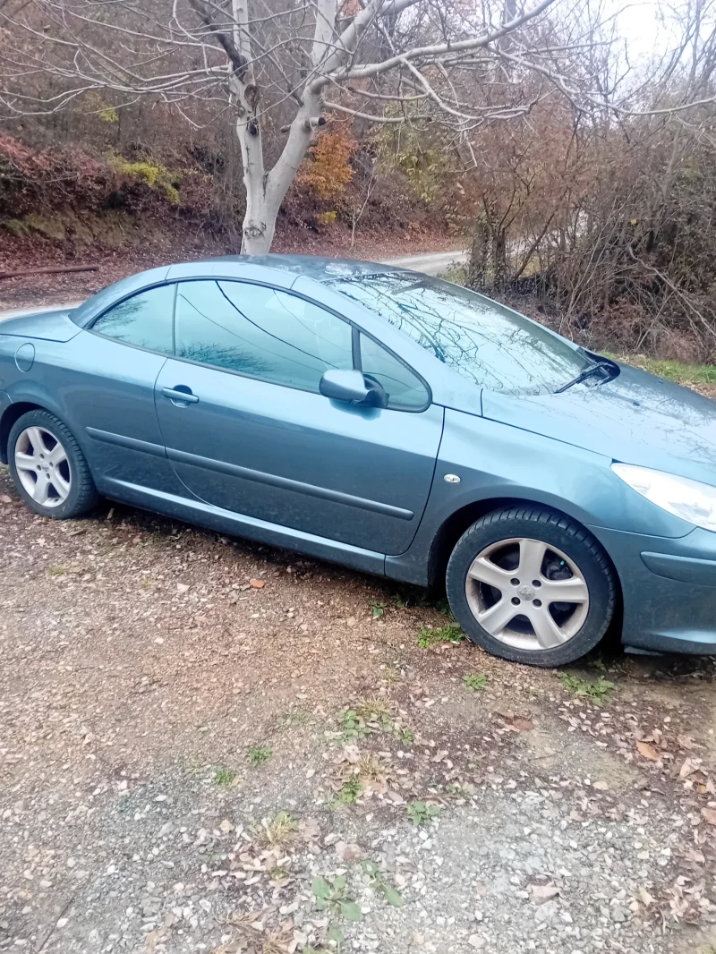 Peugeot 307 307cc, снимка 2 - Автомобили и джипове - 48374860