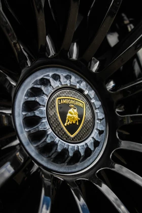 Lamborghini Aventador S Roadster LP 740 FULL CARBON, снимка 12