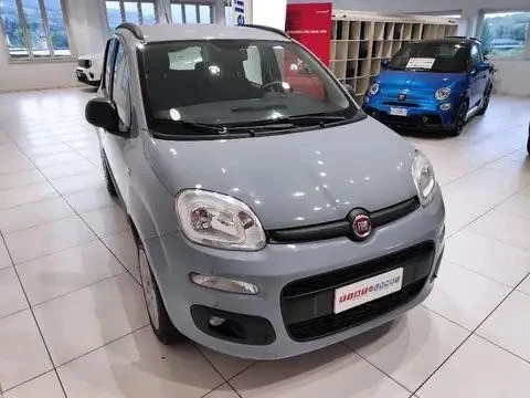 Fiat Panda 1.2 i На части , снимка 1 - Автомобили и джипове - 47593974