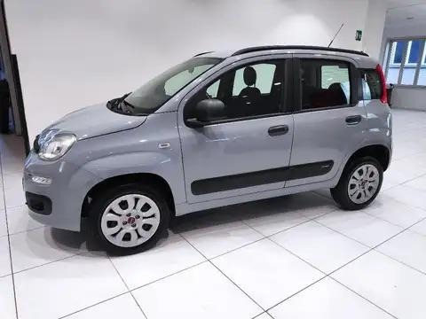 Fiat Panda 1.2 i На части , снимка 2 - Автомобили и джипове - 46355808