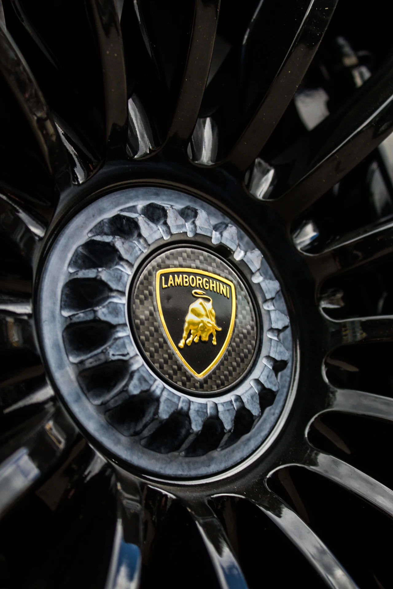 Lamborghini Aventador S Roadster LP 740 FULL CARBON | Mobile.bg   12