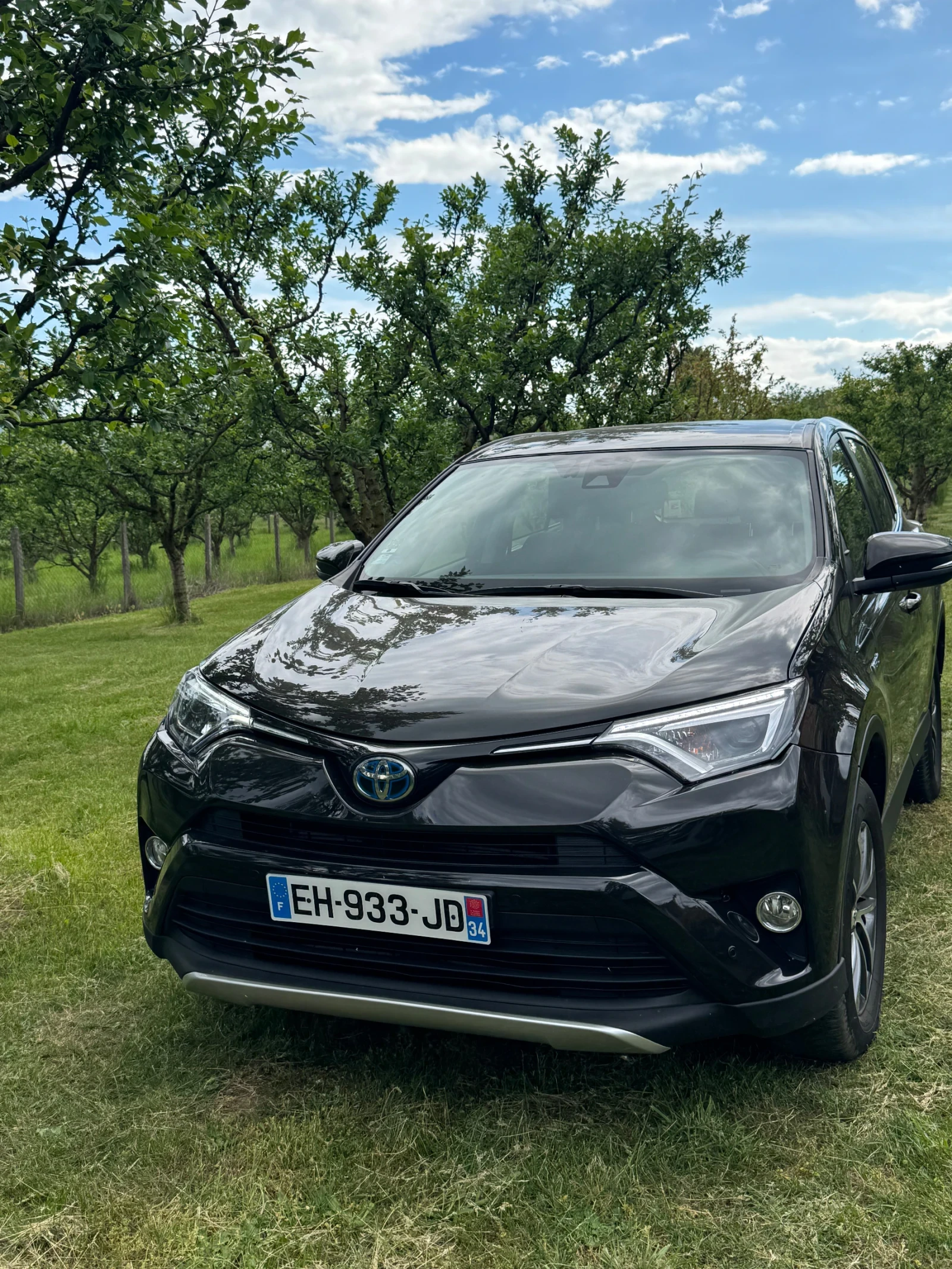 Toyota Rav4 Hybrid, снимка 4 - Автомобили и джипове - 54566629