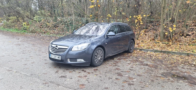 Opel Insignia, снимка 2 - Автомобили и джипове - 52625200